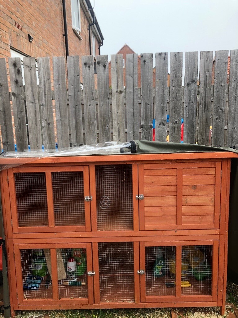 asda rabbit hutch